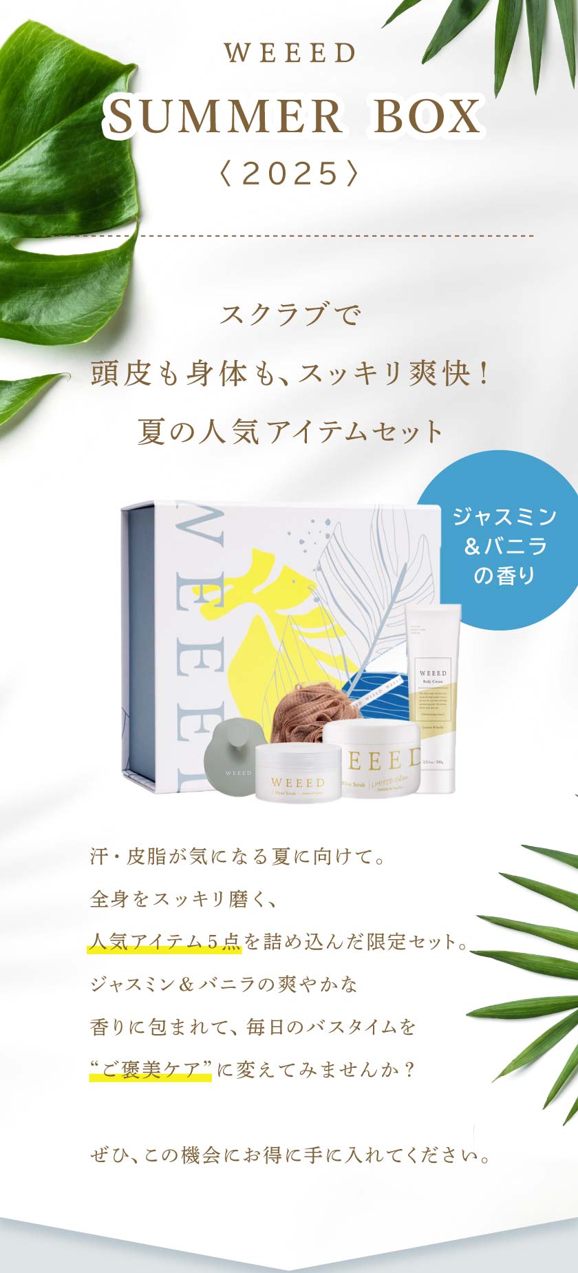 夏の人気アイテムセット