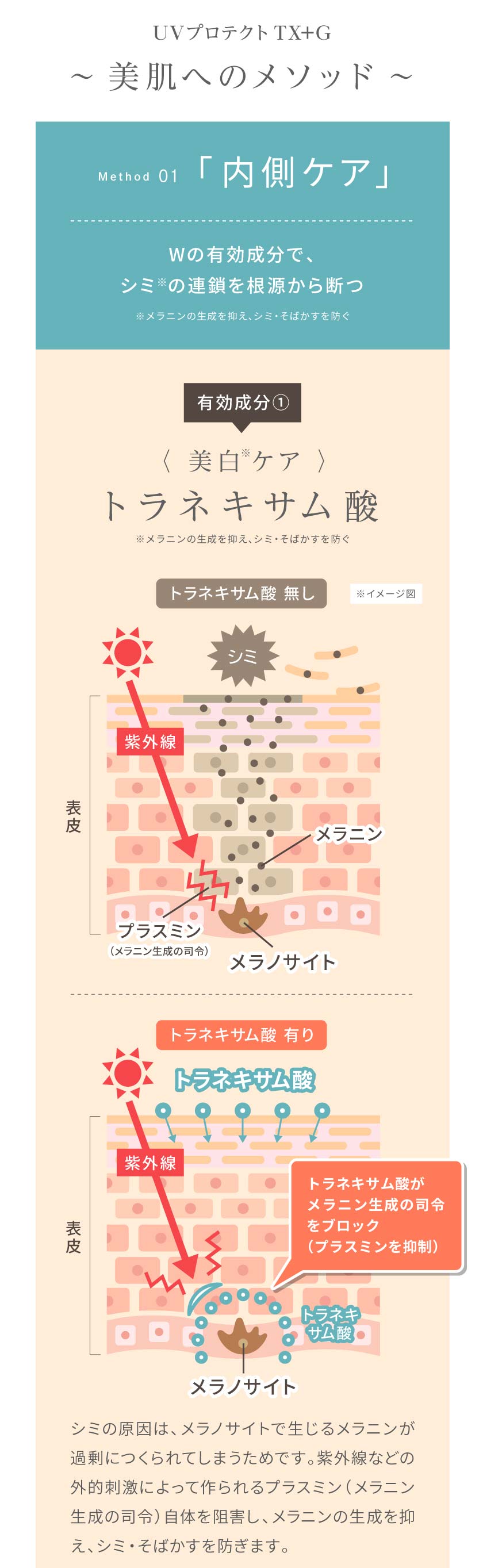 Method01 内側ケア